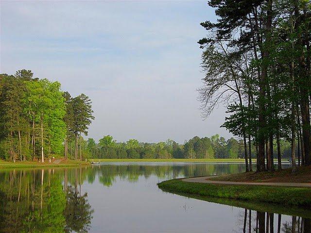 A beutiful lake with a vew of land on the right and left side of the lake,
            right piece of land being closer than the left, 
            with many vibrant trees on both pieces of and,
              and a view of a walking track on the land right side of the lake.